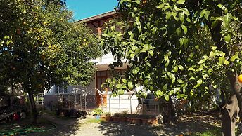 Cirali Irmak Hotel