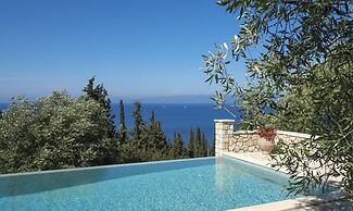 Monodendri Blue in Paxi