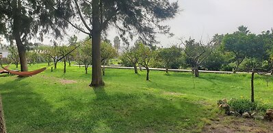 Quinta das Origens