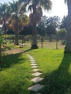 Quinta das Origens