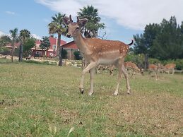 Quinta das Origens