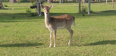 Quinta das Origens