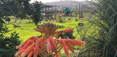 Quinta das Origens