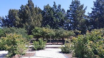 Quinta das Origens