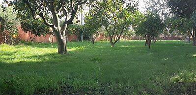 Quinta das Origens