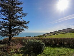 Bryn Meillion
