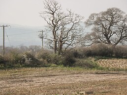 Gwynant