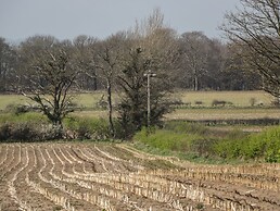 Gwynant