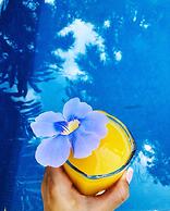 Hotel Colibri