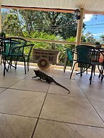 Hotel Colibri