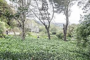 Quinta dos Lobos Boutique Hotel - Nature Experience
