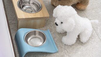 Chuncheon Dogandstay
