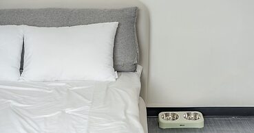 Chuncheon Dogandstay