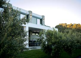 Casa Del Olivar