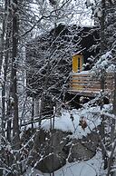 Yukon Black Spruce