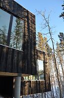 Yukon Black Spruce