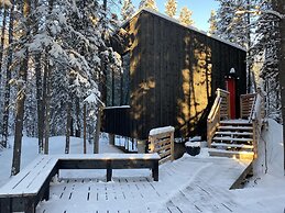 Yukon Black Spruce