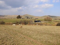 The Sheep Shed
