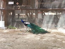 Mandara - Country Lodging