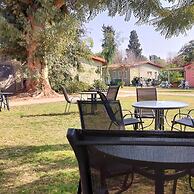 Mandara - Country Lodging