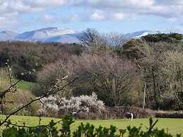 Neuadd Wen