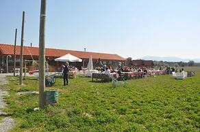 Ayvalık Sural Çiftliği Since 1899
