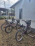 Royal Rat Hostel