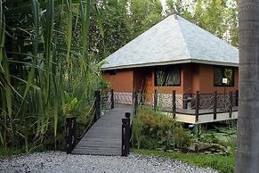 Soul Spring Sanctuary Cuernavaca