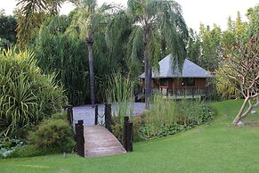 Soul Spring Sanctuary Cuernavaca