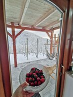 Vineyard cottage Matej