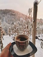 Vineyard cottage Matej