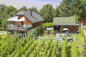 Vineyard cottage Matej