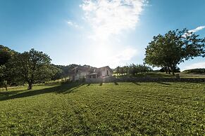 Vineyard cottage Radulja