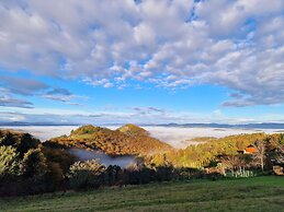 Vineyard cottage Soncni gric
