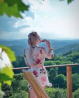 Vineyard cottage Soncni gric