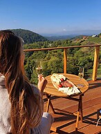 Vineyard cottage Soncni gric