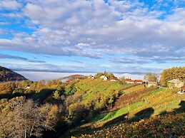 Vineyard cottage Soncni gric
