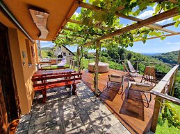 Vineyard cottage Soncni gric