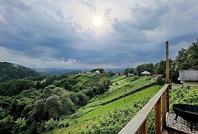 Vineyard cottage Soncni gric