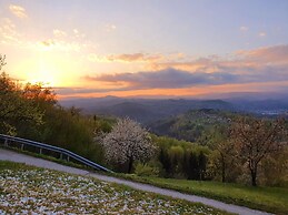 Vineyard cottage Soncni gric