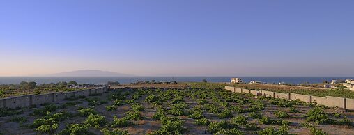 Anemi Vine Villas