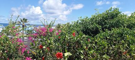 Tiko lodge sxm
