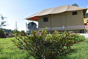 Camp Cedar