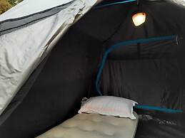Camp Cedar