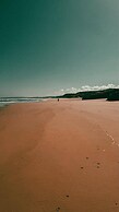 FreeSurfCamp