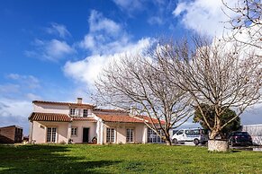 FreeSurfCamp