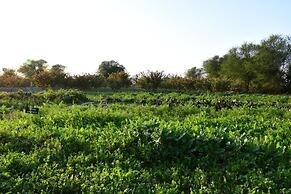 Bagh Serai