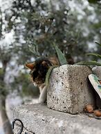 Luna Alacati