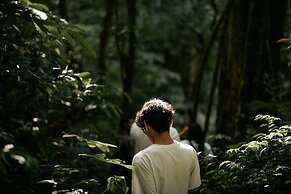 Elevate Bali