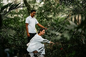 Elevate Bali